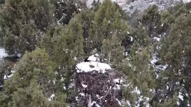 Beyşehir'de eriyen kar suları, ekili alanları suyla doldurdu Beyşehir'de eriyen kar suları, ekili alanları suyla doldurdu