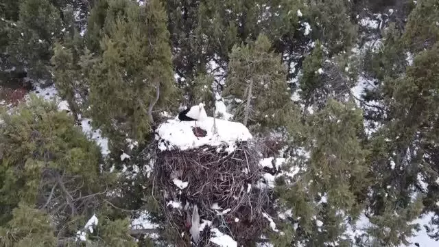 Beyşehir'de eriyen kar suları, ekili alanları suyla doldurdu Beyşehir'de eriyen kar suları, ekili alanları suyla doldurdu