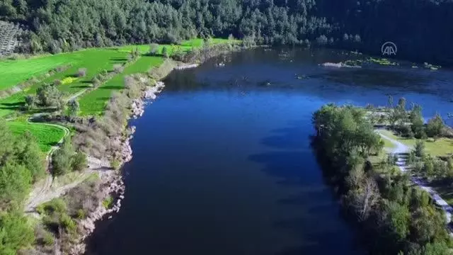 DRONE) Ceyhan Nehri ilkbaharın renk cümbüşünü yansıtıyor - Haberler