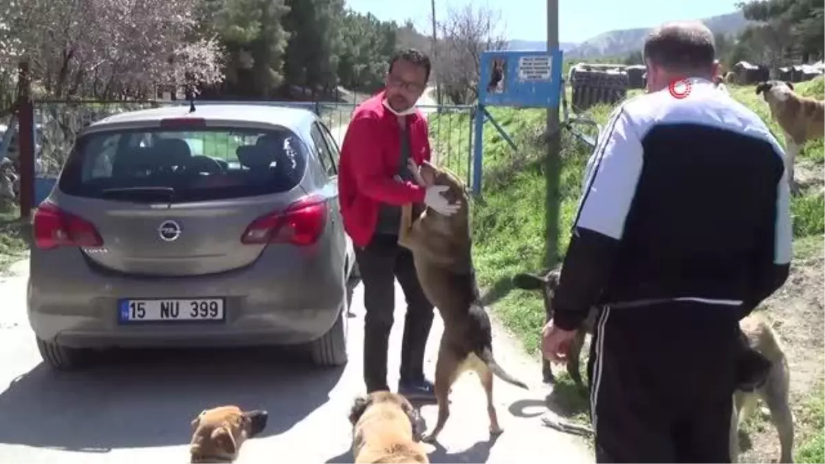 Hayvanseverler sokak hayvanlarını unutmadı