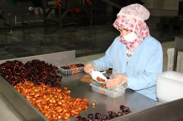 Kuru meyve üreterek pandemiye rağmen işleri büyüttüler Kuru meyve üreterek pandemiye rağmen işleri büyüttüler