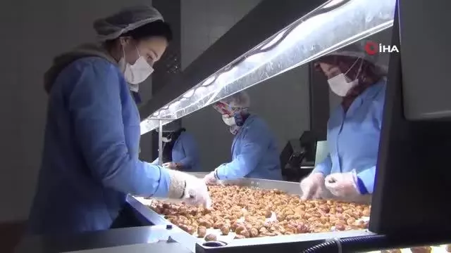 Kuru meyve üreterek pandemiye rağmen işleri büyüttüler Kuru meyve üreterek pandemiye rağmen işleri büyüttüler