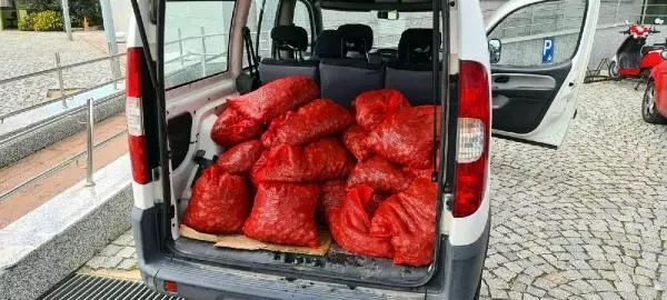 Son dakika haber! Şüphe üzerine durdurulan araçta 400 kilo canlı midye yakalandı Son dakika haber! Şüphe üzerine durdurulan araçta 400 kilo canlı midye yakalandı