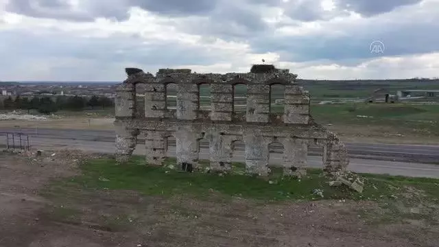 Trakya'da leyleklerin popülasyonu 'yapay yuvalarla' korunacak Trakya'da leyleklerin popülasyonu 'yapay yuvalarla' korunacak