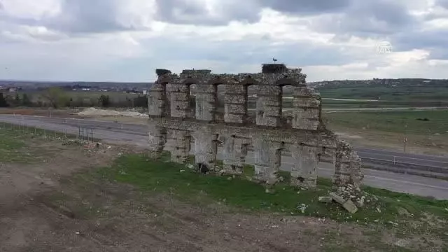 Trakya'da leyleklerin popülasyonu 'yapay yuvalarla' korunacak Trakya'da leyleklerin popülasyonu 'yapay yuvalarla' korunacak