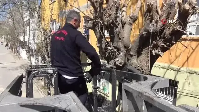 Ağaçta iki gündür aç ve susuz kalan kedi kurtarıldı