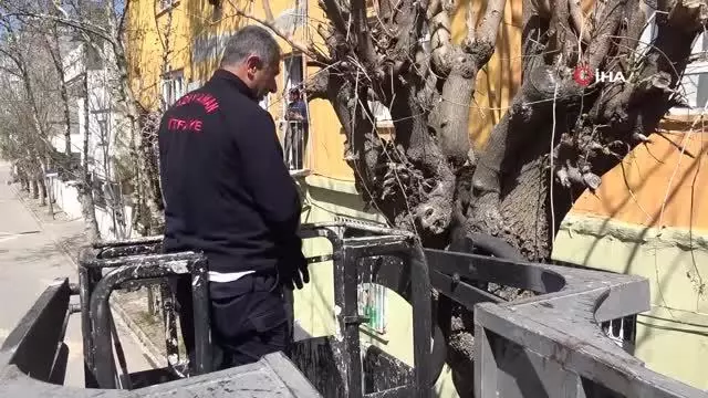 Ağaçta iki gündür aç ve susuz kalan kedi kurtarıldı