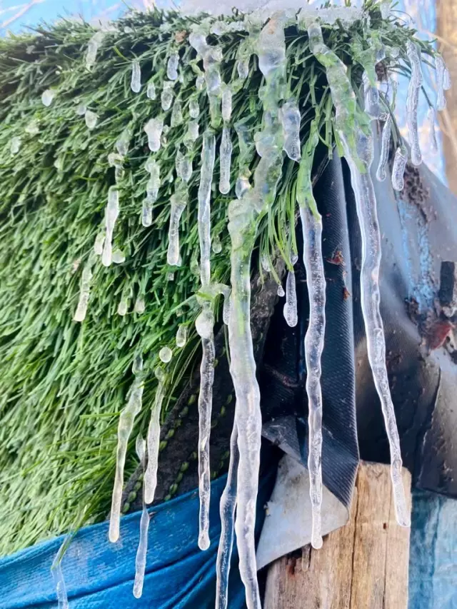 Ağrı Mart ayında dondu Ağrı Mart ayında dondu