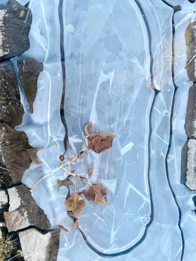 Ağrı Mart ayında dondu Ağrı Mart ayında dondu