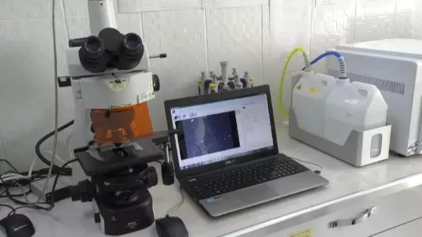 Elazığ'da yerli ve milli 'Görüntü Tabanlı Spermiogram Test Sistemi' geliştirildi Elazığ'da yerli ve milli 'Görüntü Tabanlı Spermiogram Test Sistemi' geliştirildi