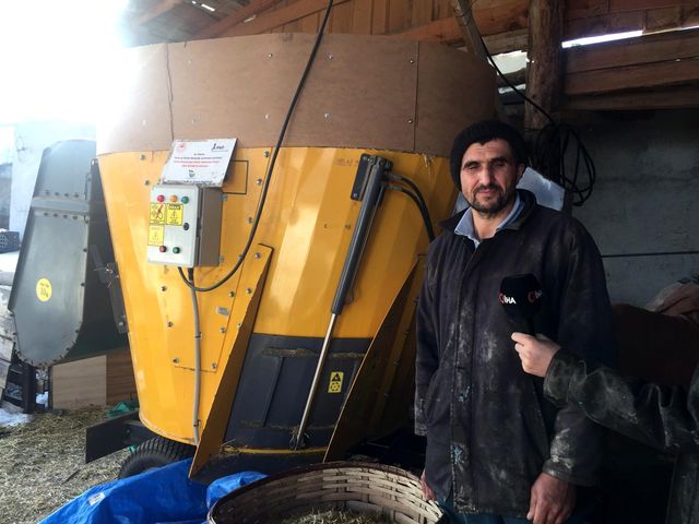 Hibe desteğiyle aldığı yem makinesiyle besledi! 1,5 tonluk boğayı araba fiyatına satıyor