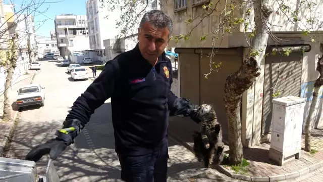 Ağaçta iki gündür aç ve susuz kalan kedi kurtarıldı