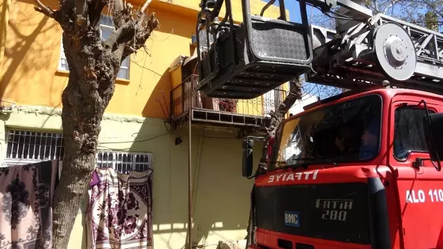 Ağaçta iki gündür aç ve susuz kalan kedi kurtarıldı
