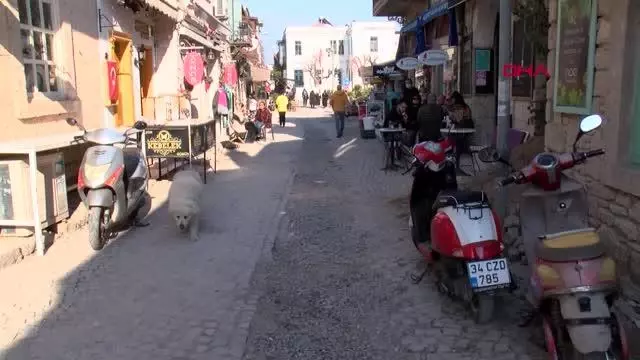 İZMİR EGM'den Çeşme'de intihar eden polis memuru ile ilgili açıklama İZMİR EGM'den Çeşme'de intihar eden polis memuru ile ilgili açıklama