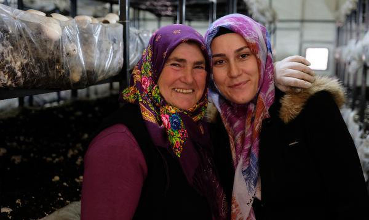 Gelin-kaynana, tarımın yapılamadığı Orta Toroslar'da mantar üretiyor