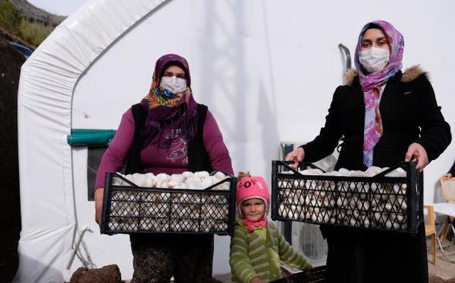 Gelin-kaynana, tarımın yapılamadığı Orta Toroslar'da mantar üretiyor