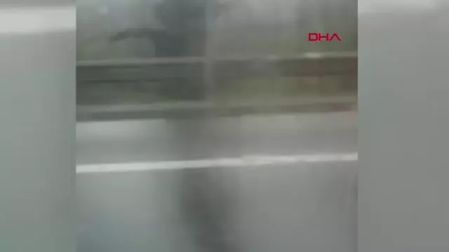 SAKARYA TEM Otoyolu'nda otomobil alev topuna döndü SAKARYA TEM Otoyolu'nda otomobil alev topuna döndü