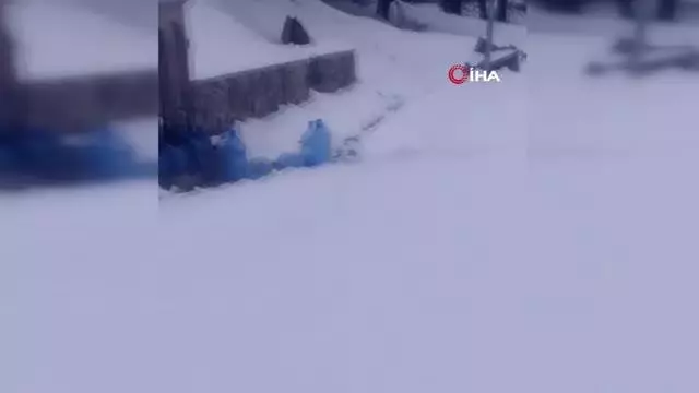 Sarıkamış'ta ayılar kış uykusundan uyandı Sarıkamış'ta ayılar kış uykusundan uyandı