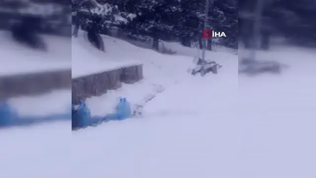 Sarıkamış'ta ayılar kış uykusundan uyandı Sarıkamış'ta ayılar kış uykusundan uyandı