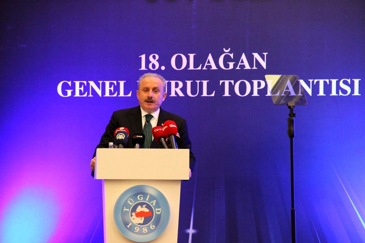 TBMM Başkanı Mustafa Şentop: 'Salgında Türkiye dünyadaki müstesna birkaç ülkeden biri oldu'