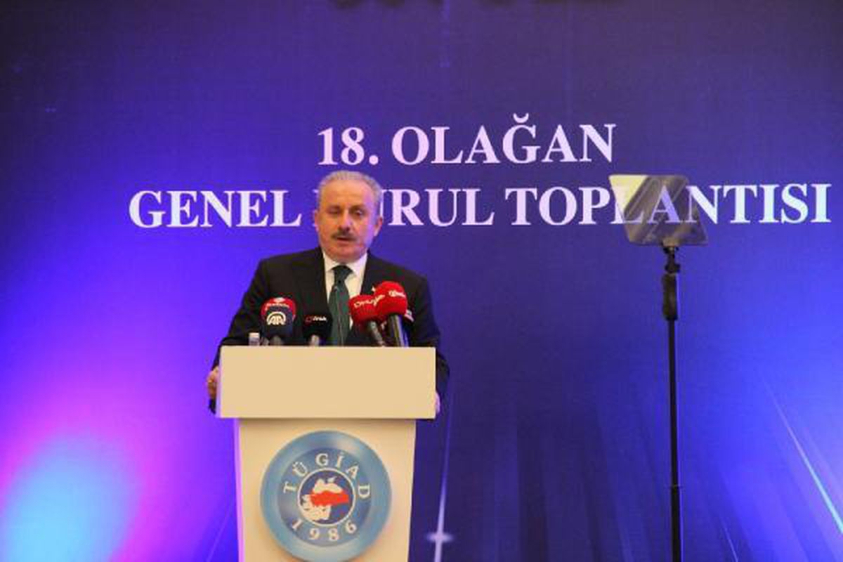 TBMM BAŞKANI ŞENTOP: SALGIN SÜRECİNDE TÜRKİYE'NİN ÖNEMİ DAHA DA ARTTI