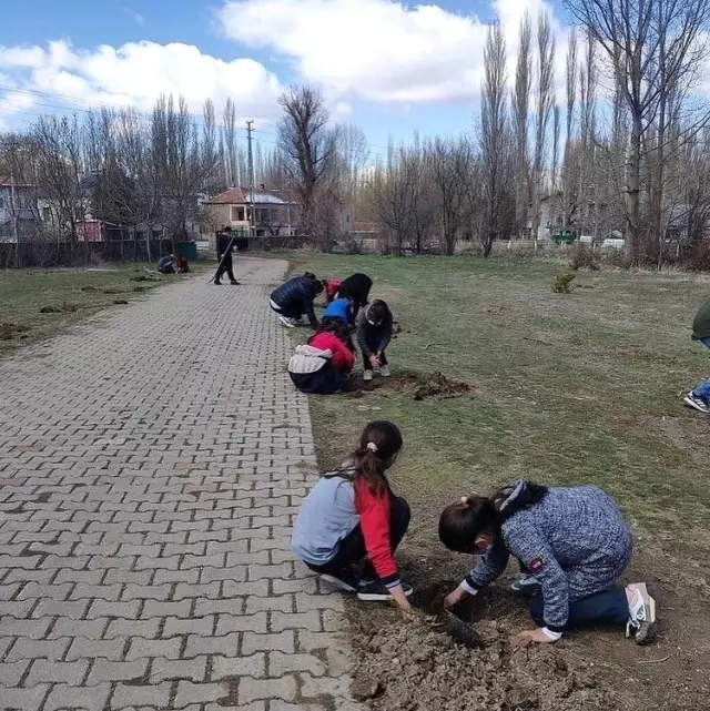 Tomarza'da öğrenciler ve öğretmenler okul bahçelerine ağaç dikti Tomarza'da öğrenciler ve öğretmenler okul bahçelerine ağaç dikti