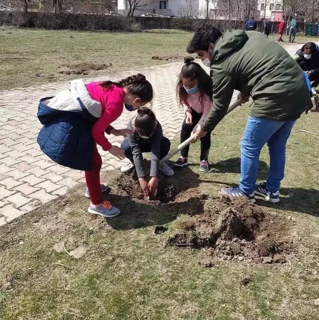 Tomarza'da öğrenciler ve öğretmenler okul bahçelerine ağaç dikti Tomarza'da öğrenciler ve öğretmenler okul bahçelerine ağaç dikti