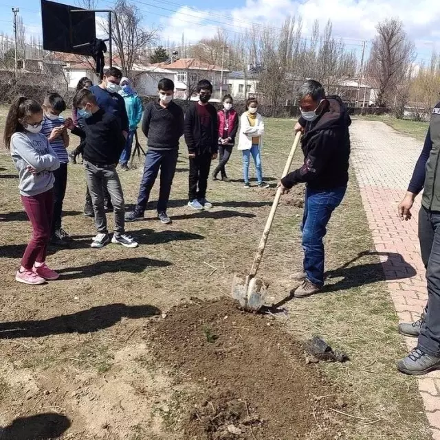 Tomarza'da öğrenciler ve öğretmenler okul bahçelerine ağaç dikti Tomarza'da öğrenciler ve öğretmenler okul bahçelerine ağaç dikti