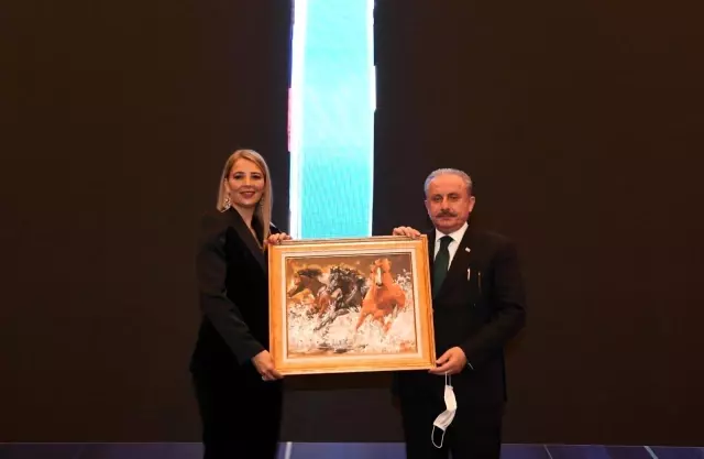 TÜGİAD'a kadın başkan