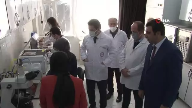 Türkiye'de sperm numunelerini 3 farklı kategoride analiz eden sistem geliştirdi Türkiye'de sperm numunelerini 3 farklı kategoride analiz eden sistem geliştirdi