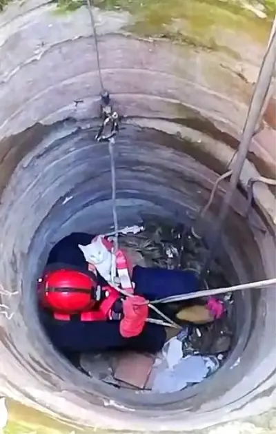 10 metrelik kuyuya düşen kediyi itfaiye kurtardı 10 metrelik kuyuya düşen kediyi itfaiye kurtardı