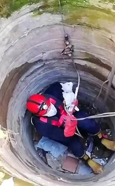 10 metrelik kuyuya düşen kediyi itfaiye kurtardı 10 metrelik kuyuya düşen kediyi itfaiye kurtardı