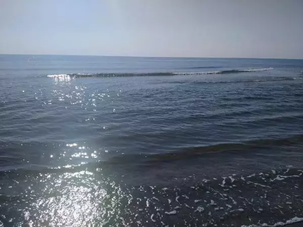 ADANA Doğal kirliliğin yaşandığı Karataş sahili temizlendi; Akyatan Lagünü açıldı ADANA Doğal kirliliğin yaşandığı Karataş sahili temizlendi; Akyatan Lagünü açıldı