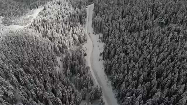 KASTAMONU - Anadolu'nun yüce dağı Ilgaz beyaz örtüsüyle de büyülüyor