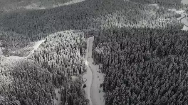 KASTAMONU - Anadolu'nun yüce dağı Ilgaz beyaz örtüsüyle de büyülüyor