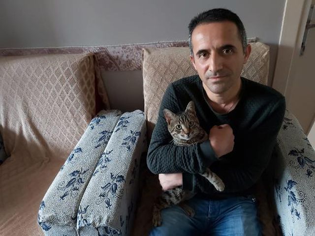 kedileri pisano nun dogum gununu kutladilar 3 14031145 o
