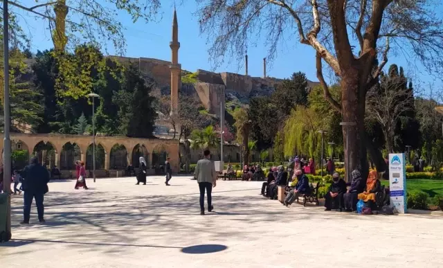 Şanlıurfa'da rehavet korona virüste yüzde 600 artış getirdi Şanlıurfa'da rehavet korona virüste yüzde 600 artış getirdi