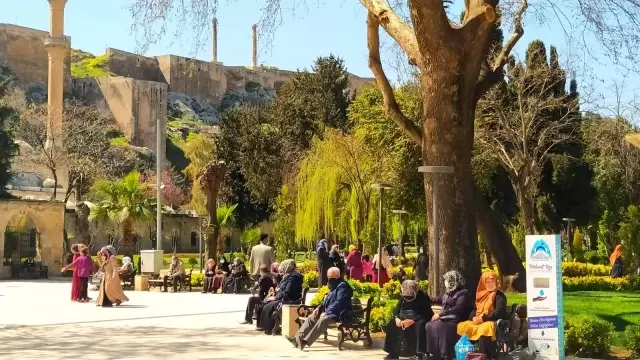 Şanlıurfa'da rehavet korona virüste yüzde 600 artış getirdi Şanlıurfa'da rehavet korona virüste yüzde 600 artış getirdi