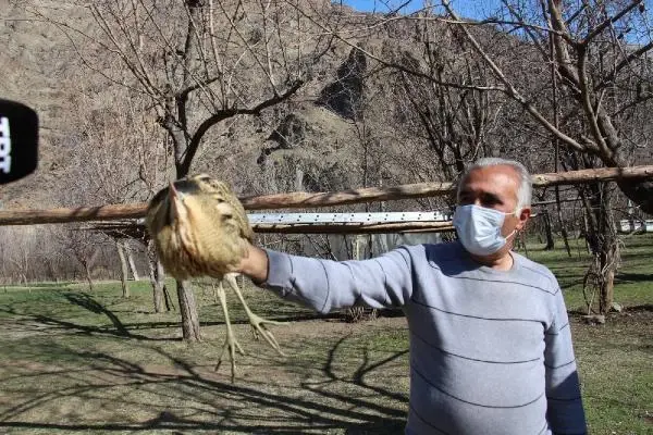 ERZURUM Bahçesinde bitkin bulduğu balabana sahip çıktı