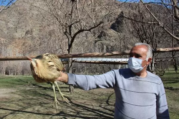 ERZURUM Bahçesinde bitkin bulduğu balabana sahip çıktı