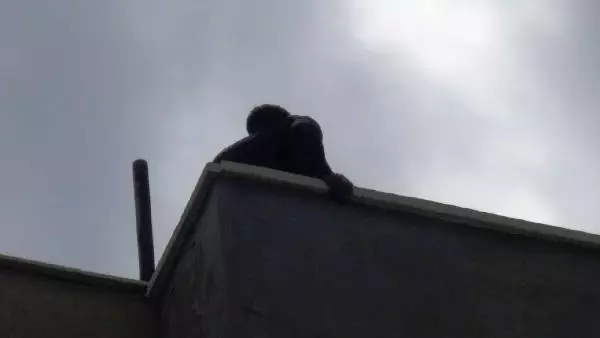 Son dakika haber! ADIYAMAN Çatıda intihar girişimini polis engelledi Son dakika haber! ADIYAMAN Çatıda intihar girişimini polis engelledi
