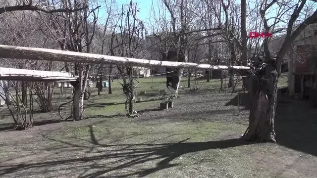 ERZURUM Bahçesinde bitkin bulduğu balabana sahip çıktı