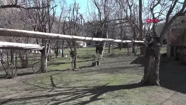 ERZURUM Bahçesinde bitkin bulduğu balabana sahip çıktı
