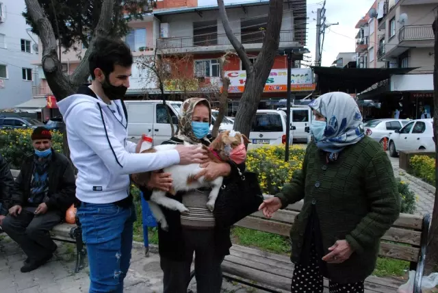 İzmir'in maskotu 'maskeli keçi' İzmir'in maskotu 'maskeli keçi'