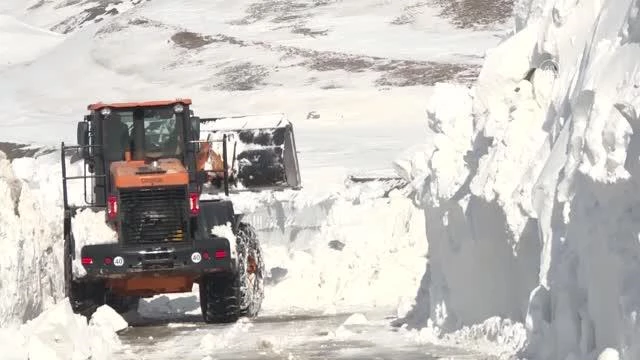 'Kar kaplanları'nın ilkbahardaki zorlu karla mücadelesi drone ile görüntülendi