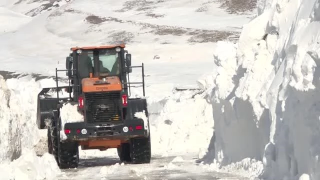 'Kar kaplanları'nın ilkbahardaki zorlu karla mücadelesi drone ile görüntülendi