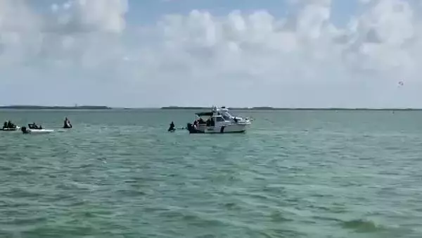 Meksika'da Cessna 206 tipi uçak düştü 2 ölü; 2 yaralı Meksika'da Cessna 206 tipi uçak düştü 2 ölü; 2 yaralı