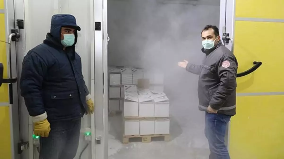 Sağlık Bakanlığı Türkiye'ye gelen BioNTech aşılarının görüntülerini paylaştı: -80 derecede özel odalarda saklanıyor