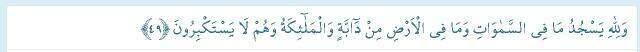 Secde Ayetleri: Kuran-ı Kerim'de geçen Secde Ayetleri nelerdir? 14 Secde Ayeti Arapça yazılışı ve Türkçe meali nedir?