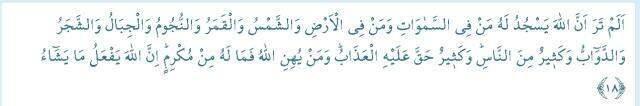 Secde Ayetleri: Kuran-ı Kerim'de geçen Secde Ayetleri nelerdir? 14 Secde Ayeti Arapça yazılışı ve Türkçe meali nedir?